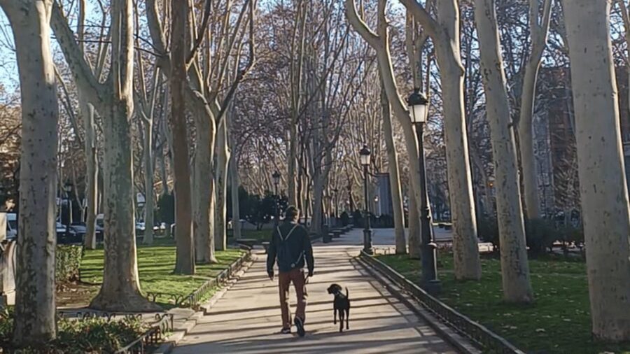 Romantic Madrid in the 19th century - Café gatherings, literature, and the birth of new art