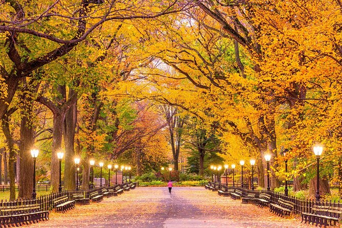 Romantic Proposal Carriage Tour in Central Park - Starting near the José Julián Martí statue