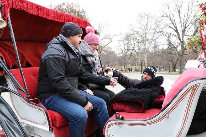 Romantic Proposal Carriage Tour in Central Park - Champagne, roses, and photographs