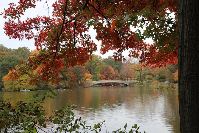 Romantic Proposal Carriage Tour in Central Park - The value of $415 per carriage