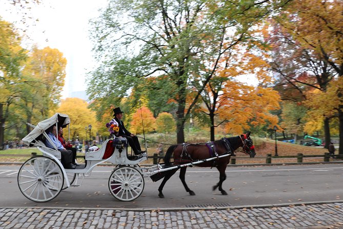 Romantic Proposal Carriage Tour in Central Park - Why the guide can shape the experience