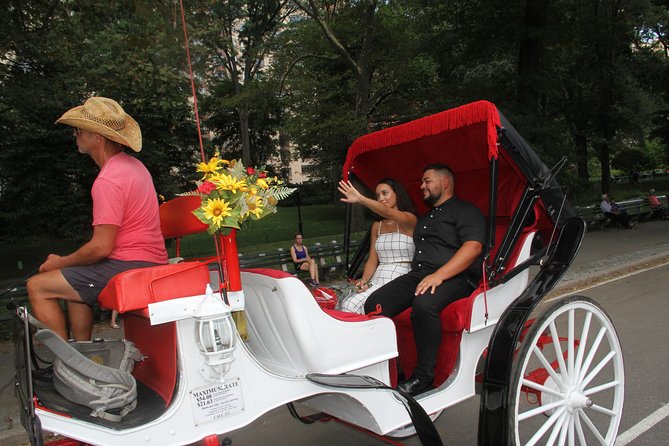 Romantic Proposal Carriage Tour in Central Park - Booking, timing, and weather