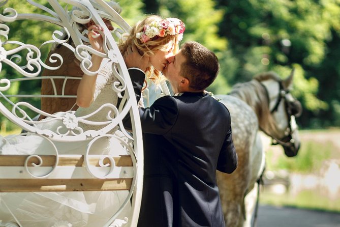 Romantic Proposal Carriage Tour in Central Park - Bethesda Fountain and the Angel of the Waters