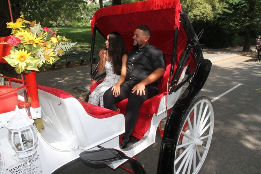 Romantic/Proposal Central Park Carriage Tour Up to 4 Adults - Meeting at the José Julián Martí Statue