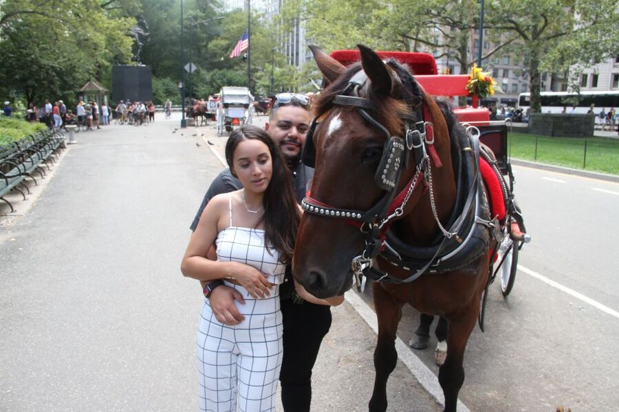 Romantic/Proposal Central Park Carriage Tour Up to 4 Adults - What the 50-minute ride feels like