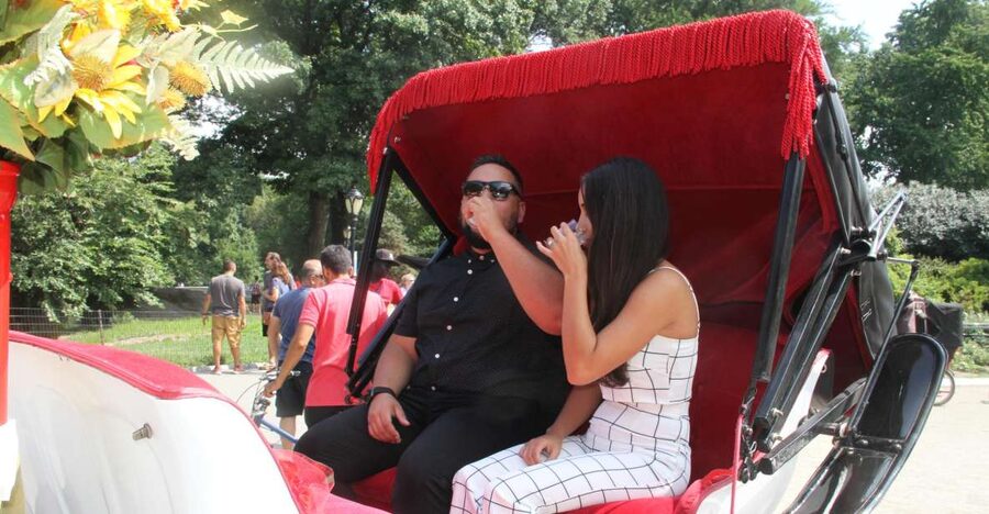 Romantic/Proposal Central Park Carriage Tour Up to 4 Adults - Champagne, roses, and the details that matter