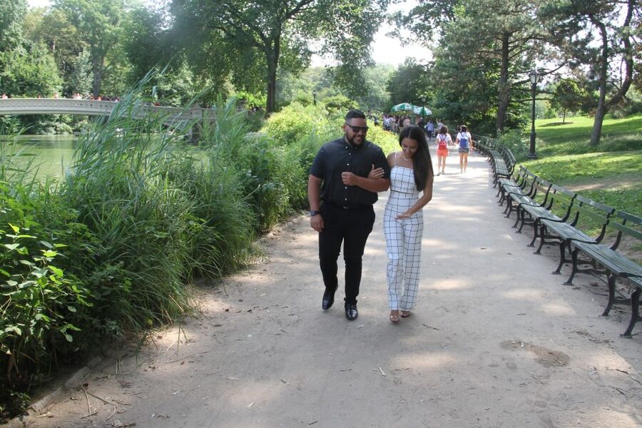 Romantic/Proposal Central Park Carriage Tour Up to 4 Adults - A roofed carriage for cool or wet days