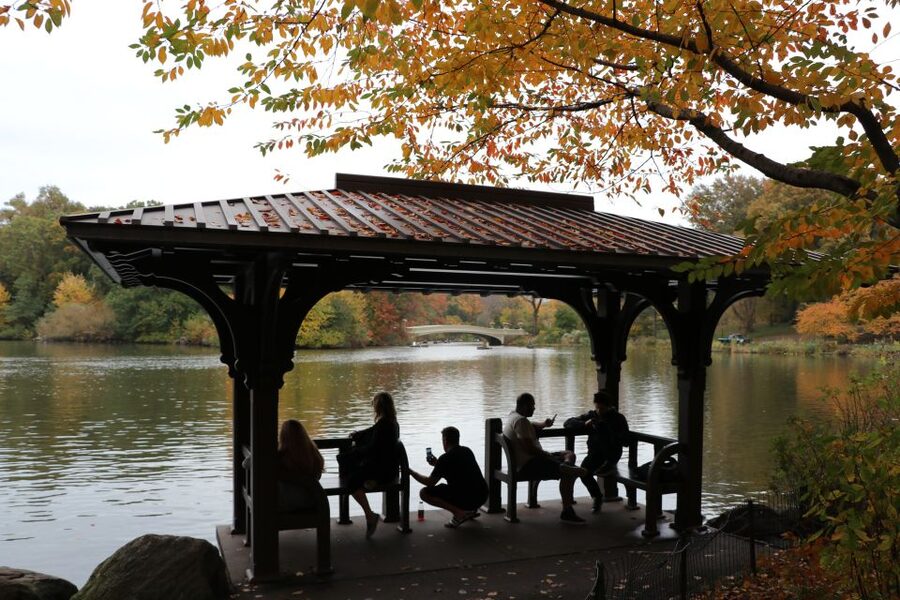 Romantic/Proposal Central Park Carriage Tour Up to 4 Adults - Is $425 a fair price?