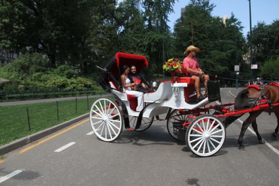 Romantic/Proposal Central Park Carriage Tour Up to 4 Adults - Who will get the most from this ride