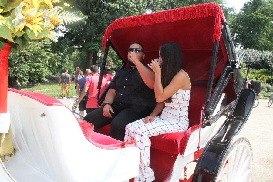 Romantic/Proposal Central Park Carriage Tour Up to 4 Adults - Booking advice for a smooth surprise