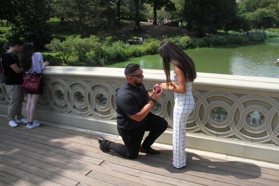 Romantic/Proposal Central Park Carriage Tour Up to 4 Adults - Choosing Bow Bridge or Bethesda Fountain