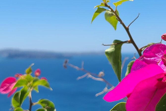 Romantic Tour through Santorini - Caldera views across the volcanic islands