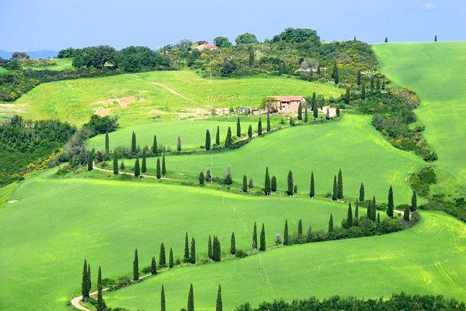 Romantic Vespa Tour and Wine Tasting - What arrives at the tasting lunch