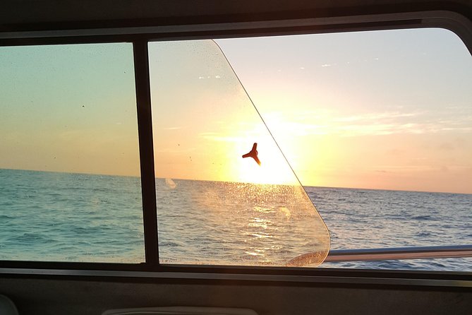 Romantic Wine and Cheese Boat Tower Cruise - The tower is the star of the boat