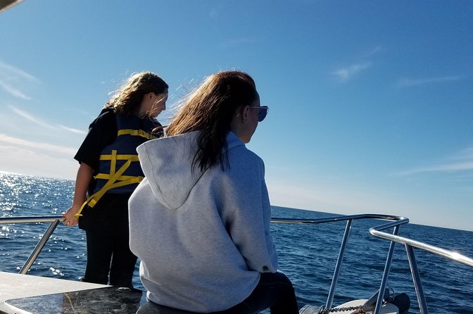 Romantic Wine and Cheese Boat Tower Cruise - What the 90-minute cruise feels like