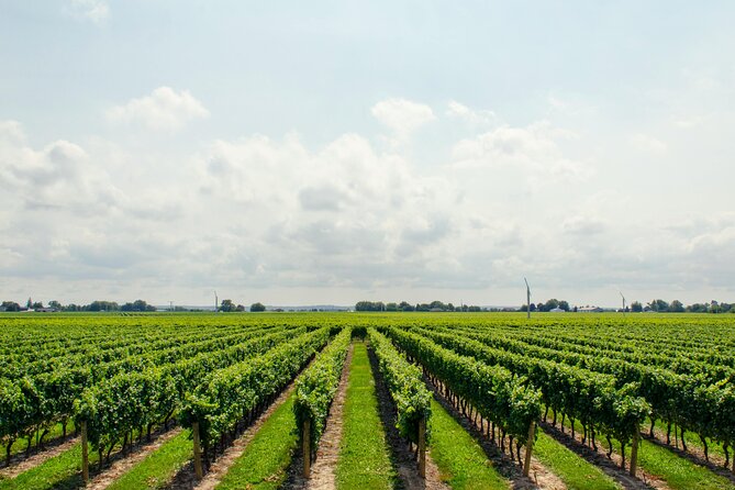 Romantic Wine Escape by Perlage Rheingau - Who will enjoy this private outing most