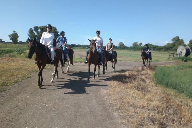 Rome : Horseback Riding with meals and wine included - Why this ride makes a smart break from central Rome