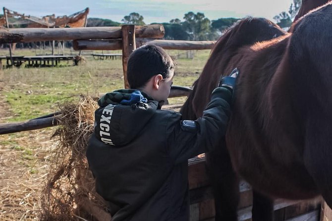 Rome : Horseback Riding with meals and wine included - Meeting the horses before the ride