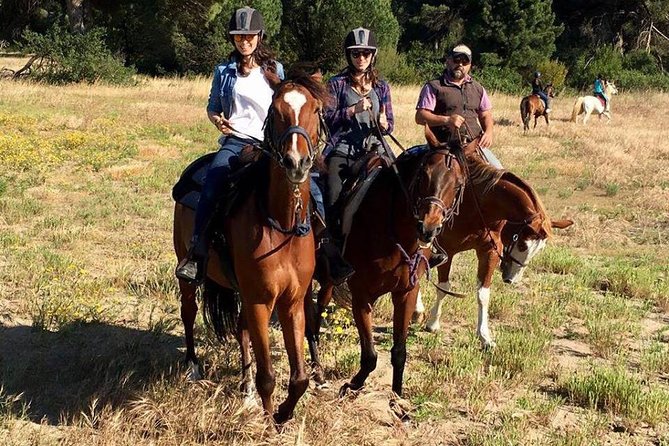 Rome : Horseback Riding with meals and wine included - How the private format affects the day