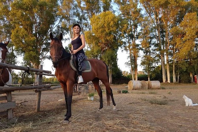 Rome : Horseback Riding with meals and wine included - Transport, timing, and what to bring