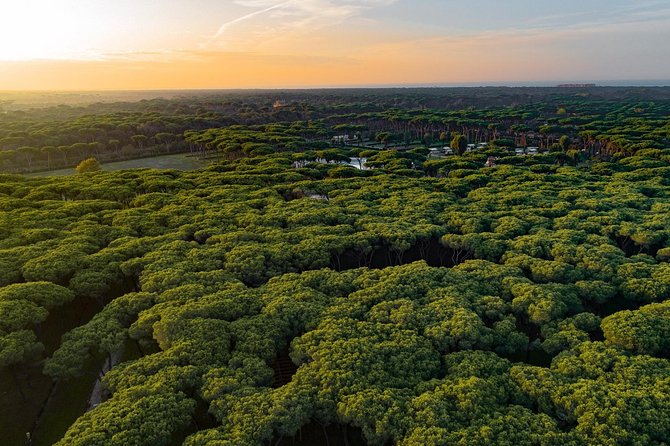 Rome : Horseback Riding with meals and wine included - Who will enjoy this most