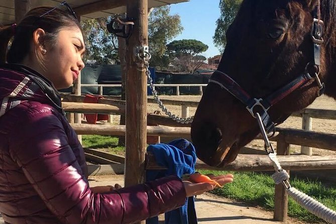 Rome : Horseback Riding with meals and wine included - Starting at Cavalieri di Gaia