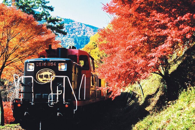 Sagano Romantic Train & Arashiyama, Kiyomizudera, Fushimi Inari Taisha Day Tour - Four Kyoto icons packed into one long day