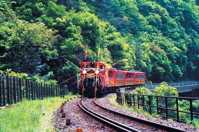 Sagano Romantic Train & Arashiyama, Kiyomizudera, Fushimi Inari Taisha Day Tour - The Sagano Romantic Train beside the Hozugawa River