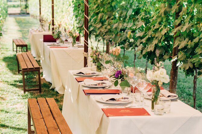 San Gimignano Romantic Dinner in the Vineyards - The wine tasting: Brunello, Vernaccia, and Super Tuscans