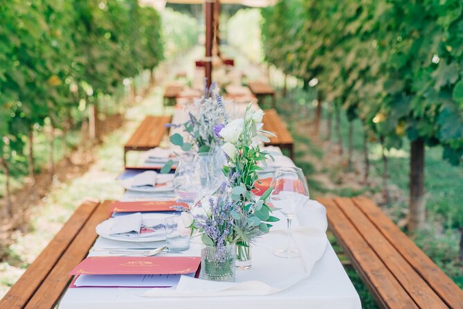 San Gimignano Romantic Dinner in the Vineyards - Soup or truffle lasagna for the middle course