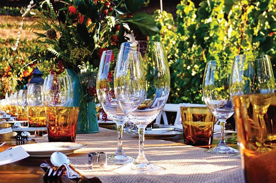 San Gimignano: Romantic Vineyard Dinner - A vineyard dinner outside San Gimignano