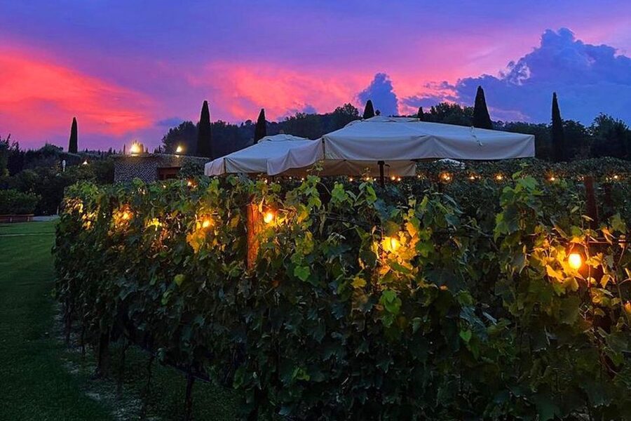 San Gimignano: Romantic Vineyard Dinner - Who should book this experience