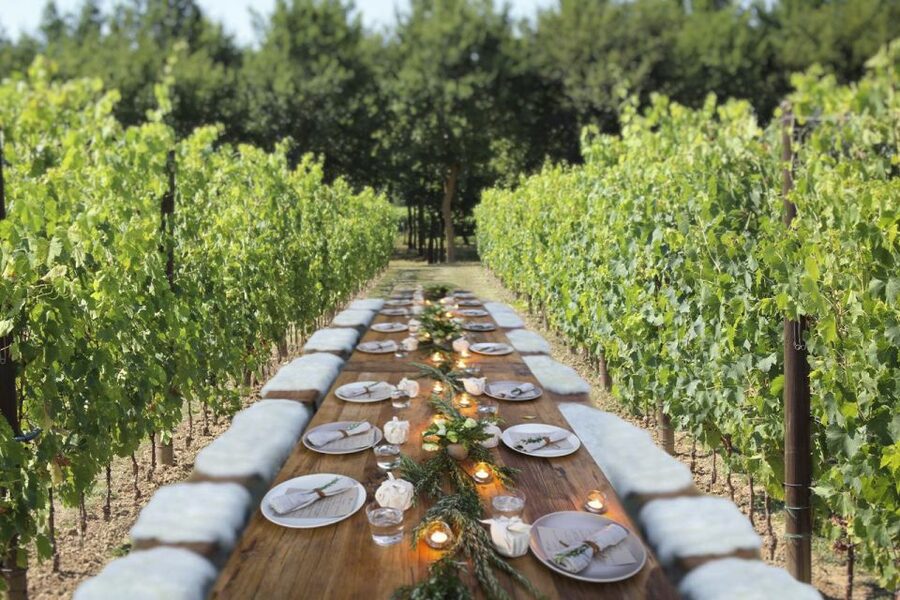 San Gimignano: Romantic Vineyard Dinner - Why the vineyard setting matters