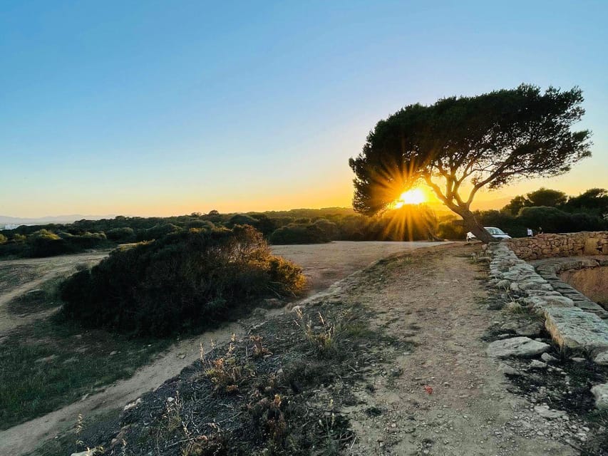 Santa Ponca: CoupleWalk, fun game and city walk for couples - Who will enjoy this most