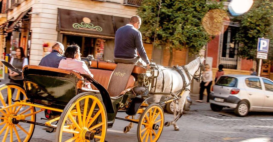 Seville: Authentic and Romantic Horse-Drawn Carriage Ride - A slow introduction to Seville by horse and carriage