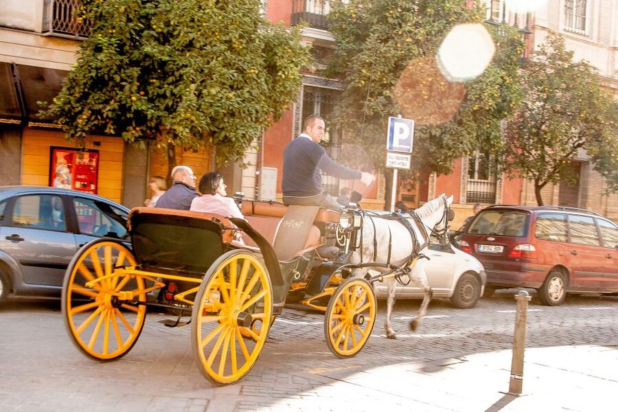 Seville: Authentic and Romantic Horse-Drawn Carriage Ride - FAQ