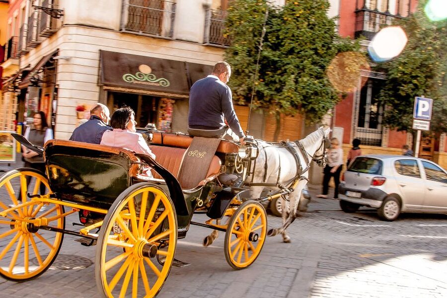 Seville: Authentic and Romantic Horse-Drawn Carriage Ride - Maria Luisa Park is the romantic centerpiece