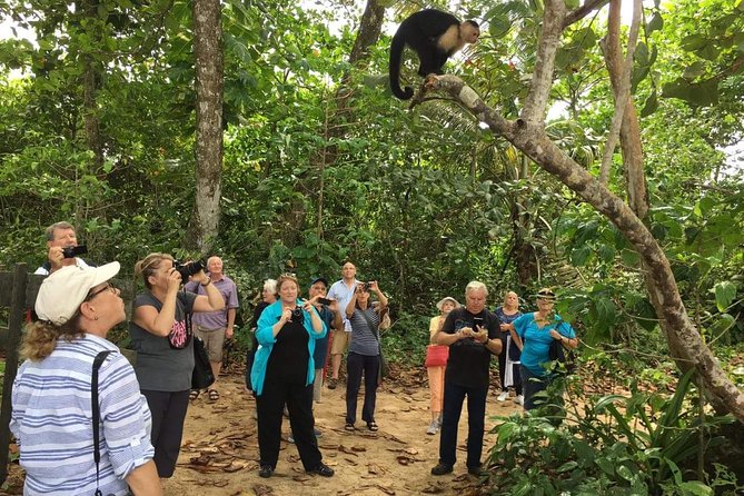 Sloths Lovers Tour. Puerto Limon Shore Excursion - Cancellation and booking details