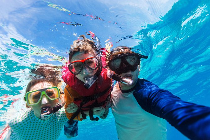 Snorkel & Swim with Turtles. Semi Private Tour to Buck Island & Honeymoon Beach - Weather and cancellation rules