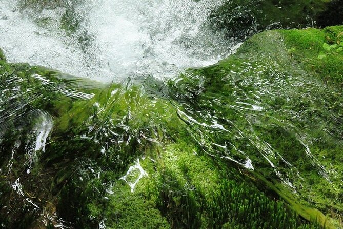 Split to Zagreb or airport Zagreb via Plitvice lakes for singles or couples - Should you book it?