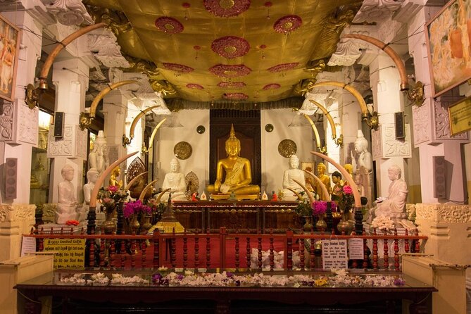 Sri Lanka Honeymoon Tour 7 Days - Key points to know before booking