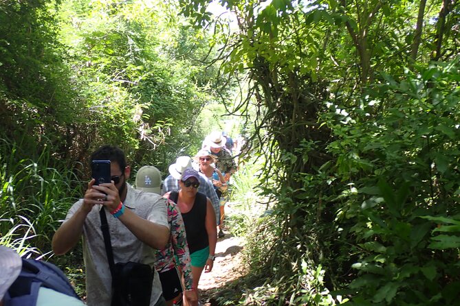 St. John Honeymoon Beach, Hike and Snorkel Adventure - Guided snorkeling with reef fish and possible turtles