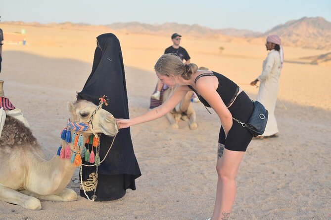 Starwatching, Camel Ride and Romantic Dinner in Hurghada Safari - Who will enjoy this desert evening