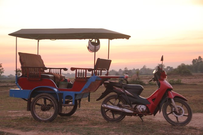 Sunset Dinner at Rice Paddy Fields - Dinner beside the rice paddies
