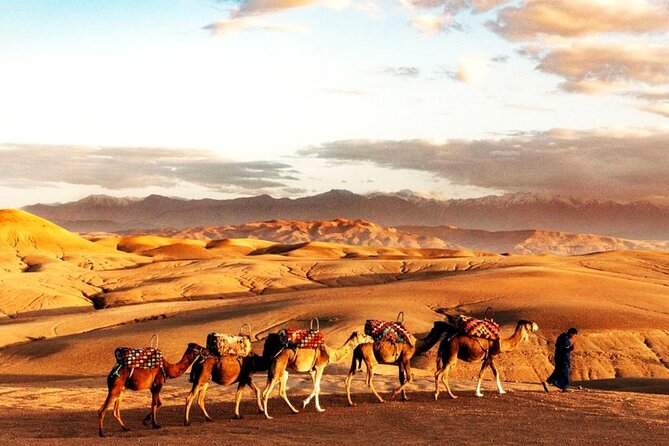 Sunset Dinner in Marrakech Desert with Quad bike - From Marrakech streets to Agafay’s open desert