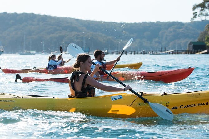 Sydney Harbour Sunset Dinner Paddle - The return to Rose Bay