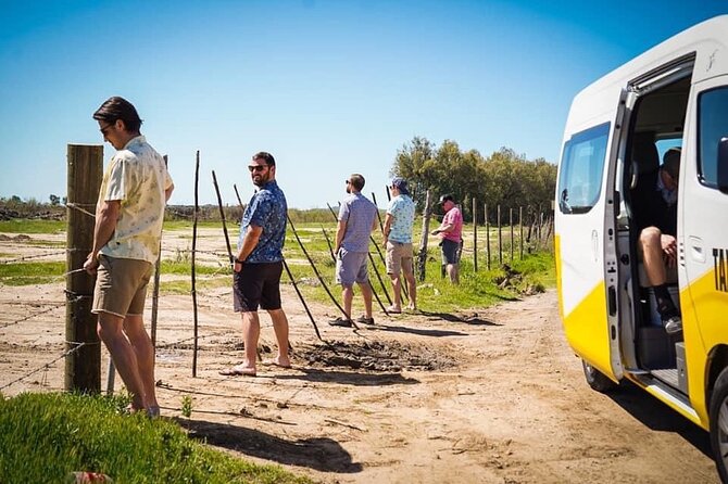 Transportation Suburban Weddings,Birthday/Valley of Guadalupe - Building your own six-hour route