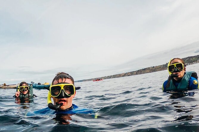 Two Hour Kayak and Snorkel Tour for Two in La Jolla - Two hours on La Jolla’s open water