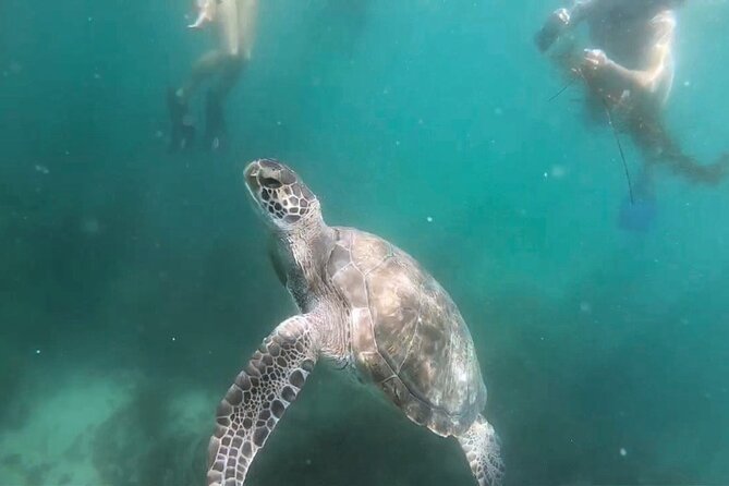 Two Hour Kayak and Snorkel Tour for Two in La Jolla - Timing, cancellation, and practical planning