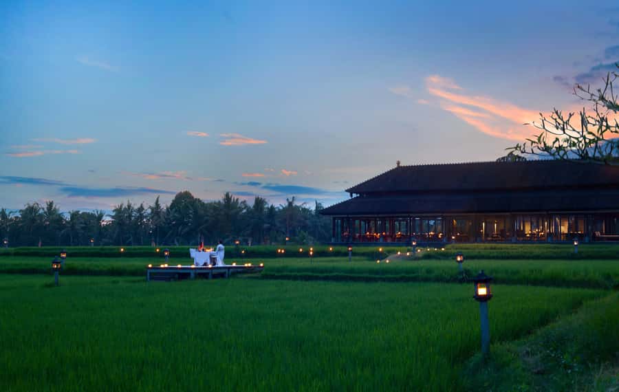 Ubud: Romantic Dinner among the Rice Fields - A candlelit walk into Ubud’s rice paddies